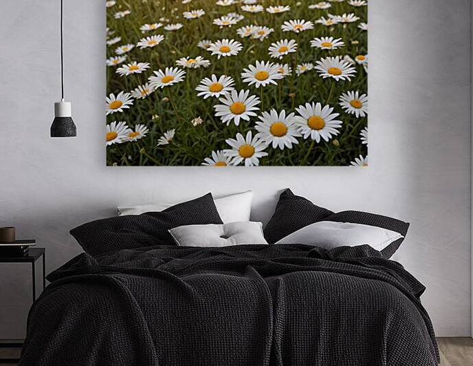 Golden Horizon – Sunsets & Sunrises Wall Art Collection 41 by Aura Gallery