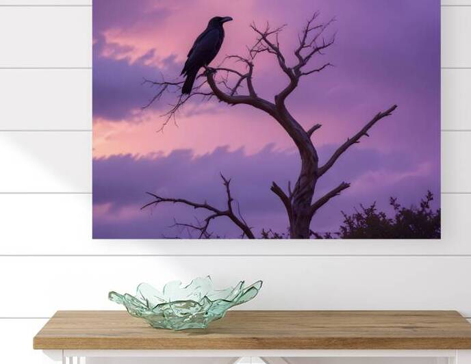 Golden Horizon – Sunsets & Sunrises Wall Art Collection 33 by Aura Gallery