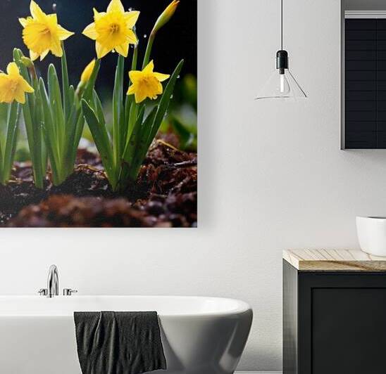  Artistic Botanical Flower Collection – Rose Sunflower and Yellow Bloom Illustrations 2 by Aura Gallery