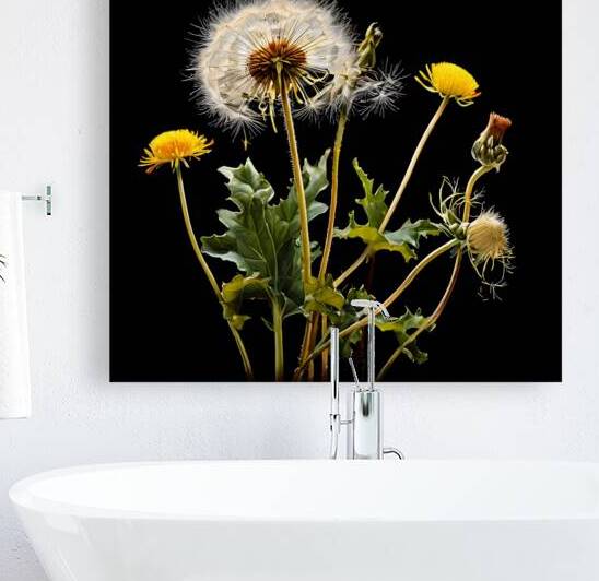  Artistic Botanical Flower Collection – Rose Sunflower and Yellow Bloom Illustrations 2 by Aura Gallery