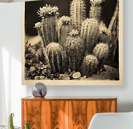  Artistic Botanical Flower Collection – Rose Sunflower and Yellow Bloom Illustrations 53 by Aura Gallery