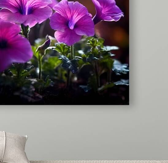  Artistic Botanical Flower Collection – Rose Sunflower and Yellow Bloom Illustrations 66 by Aura Gallery