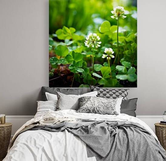 Artistic Botanical Flower Collection – Rose Sunflower and Yellow Bloom Illustrations 25 by Aura Gallery