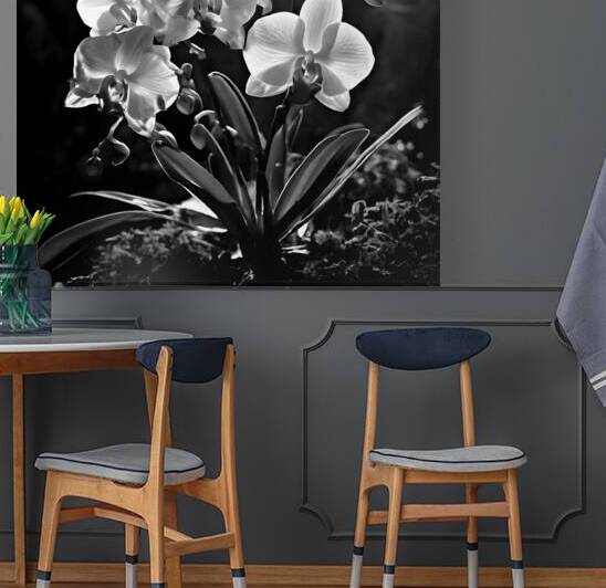  Artistic Botanical Flower Collection – Rose Sunflower and Yellow Bloom Illustrations 48 by Aura Gallery