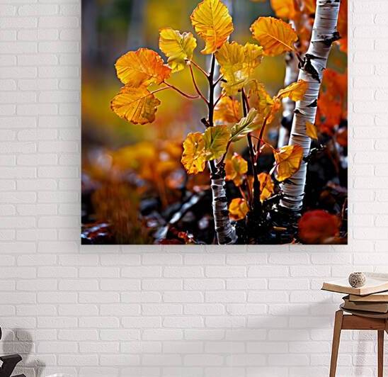  Artistic Botanical Flower Collection – Rose Sunflower and Yellow Bloom Illustrations 26 by Aura Gallery