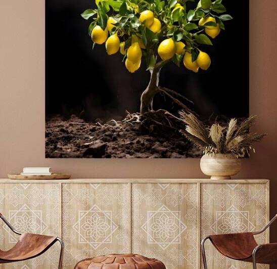  Artistic Botanical Flower Collection – Rose Sunflower and Yellow Bloom Illustrations 26 by Aura Gallery