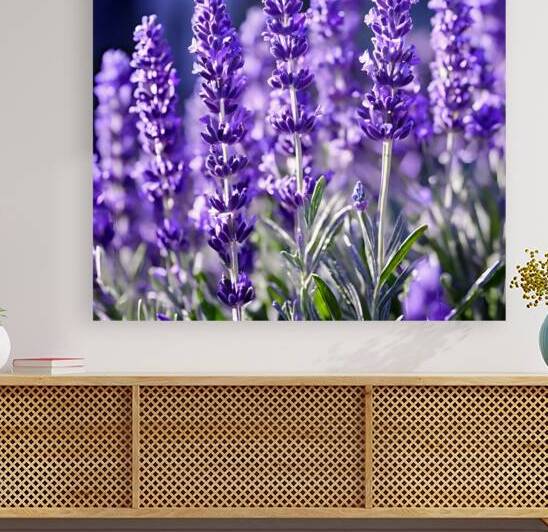  Artistic Botanical Flower Collection – Rose Sunflower and Yellow Bloom Illustrations 34 by Aura Gallery