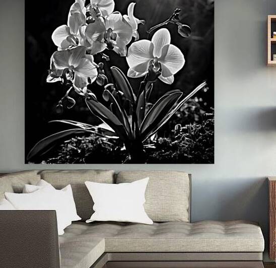  Artistic Botanical Flower Collection – Rose Sunflower and Yellow Bloom Illustrations 42 by Aura Gallery