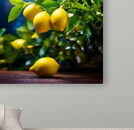  Artistic Botanical Flower Collection – Rose Sunflower and Yellow Bloom Illustrations 27 by Aura Gallery