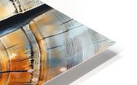 Wood Tree Rings 13 HD Metal print