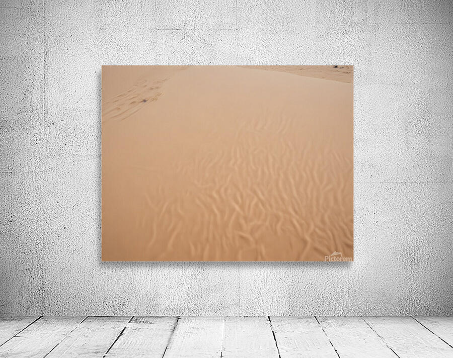 Timeless Desert Landscapes 70 Wall Preview