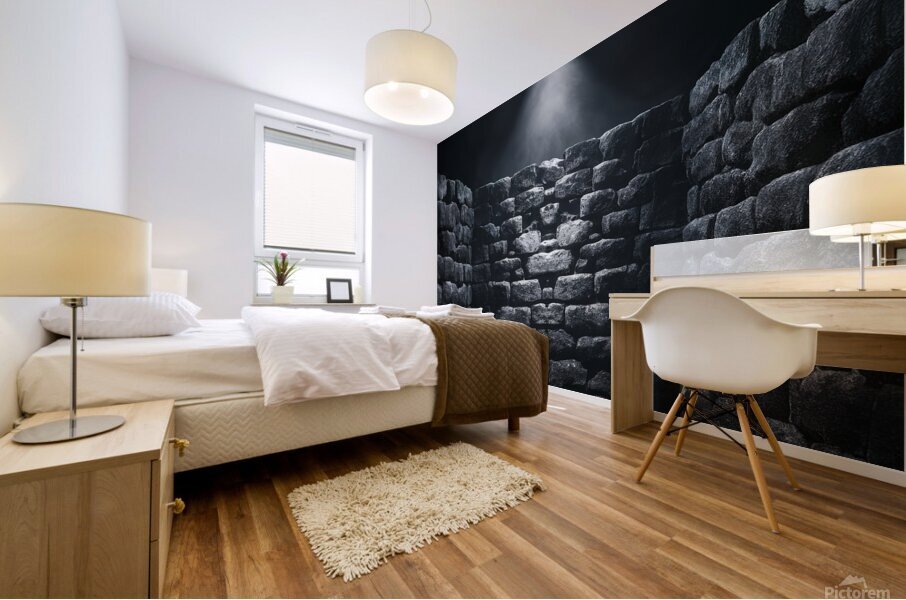 A dramatic high contrast image featuring a front Mural print