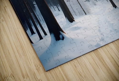 Dramatic winter northern background Gabriela Ghita puzzle