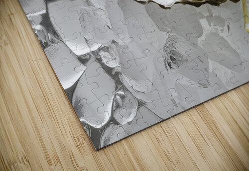 A pristine raw oyster shell positioned perfectly Gabriela Ghita puzzle