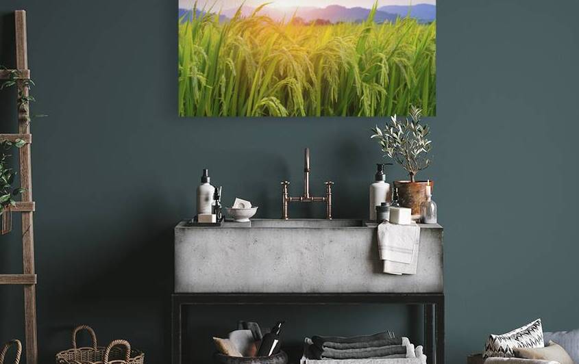 A stunning serene landscape of paddy fields 1 by Gabriela Ghita