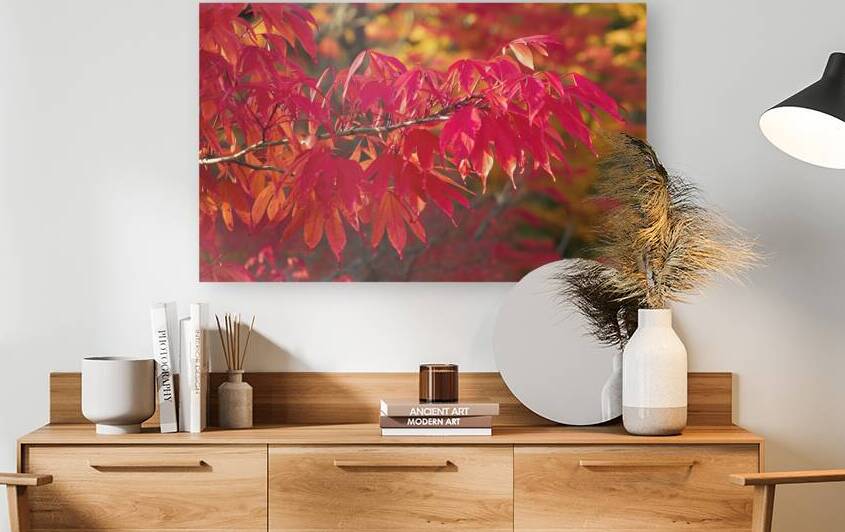 A stunning photograph of a bright red Mountain As by Gabriela Ghita