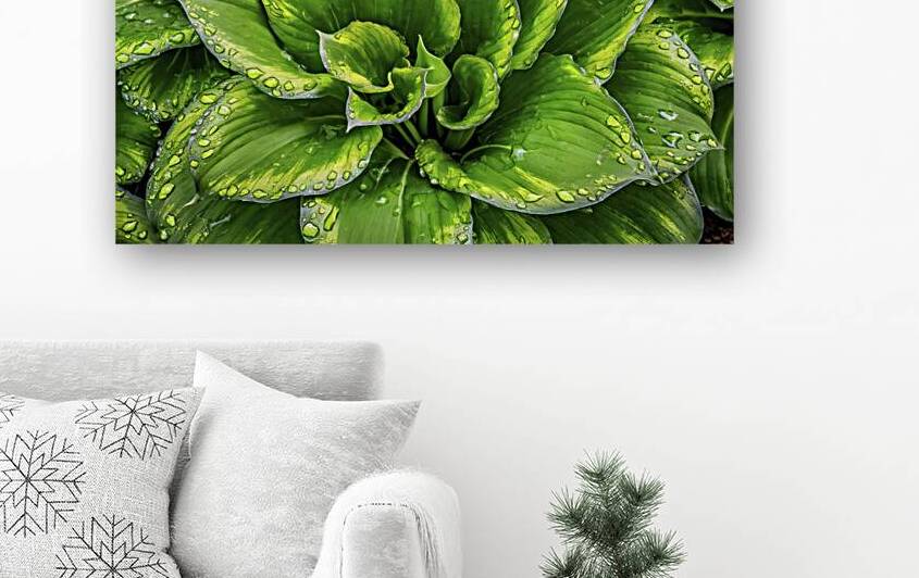 A stunning close up photograph of lush vibrant gr by Gabriela Ghita