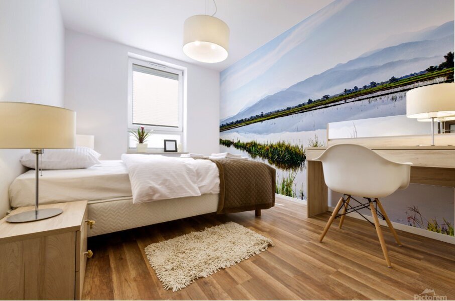 Nueva Ecija-Rice Patties 7571 Mural print