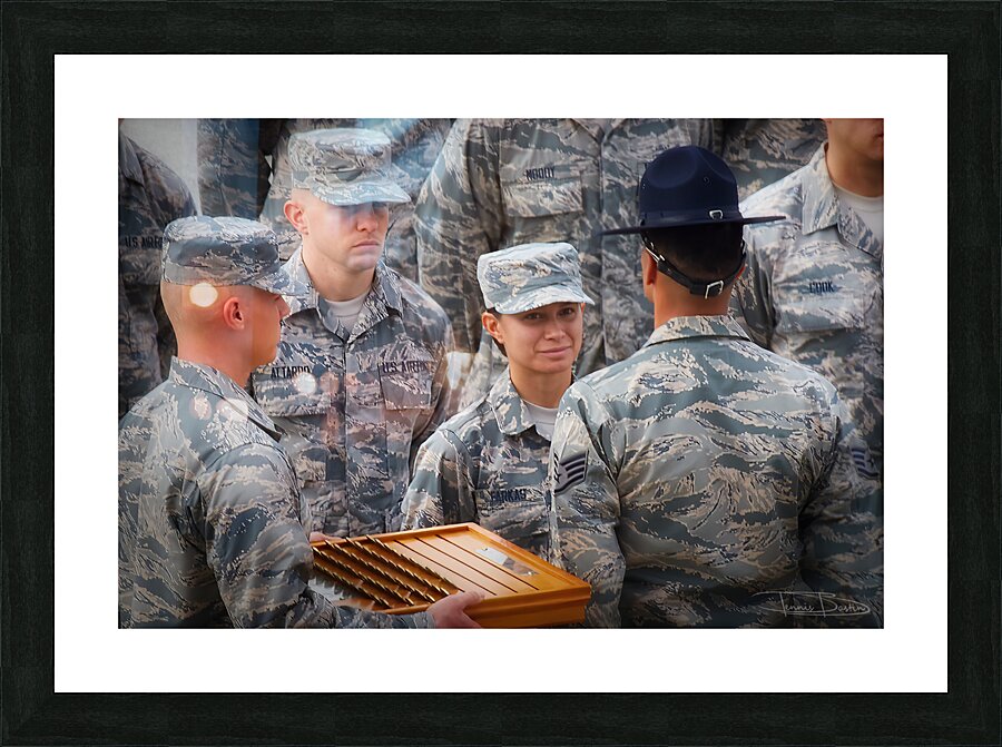 Air Force  Coin Presentation Picture Frame print