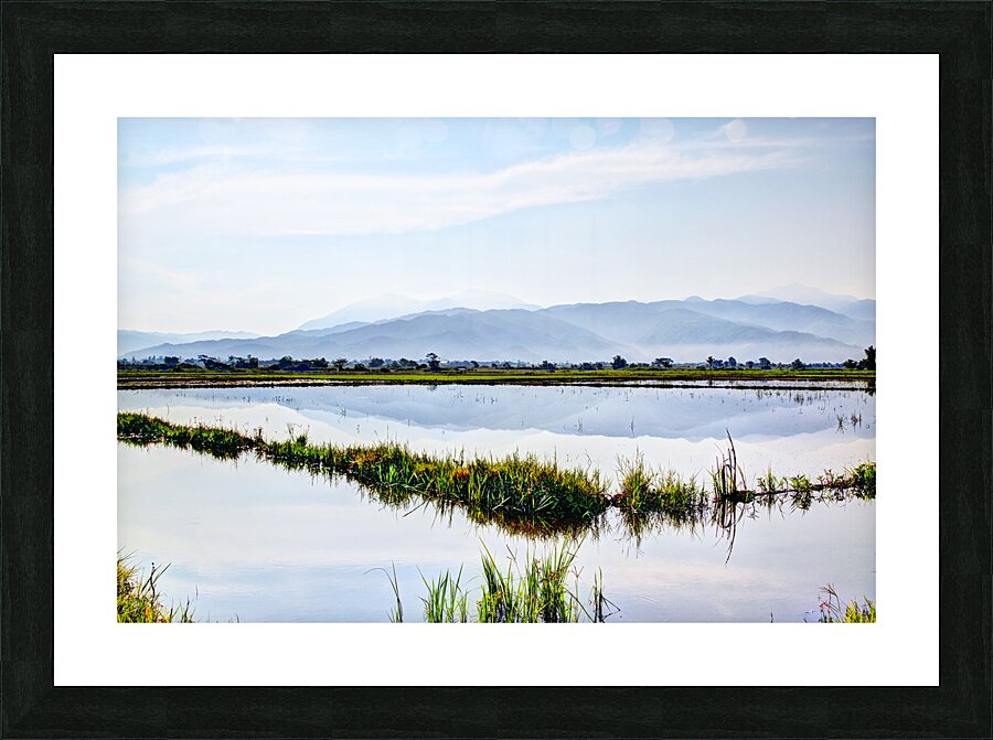 Nueva Ecija-Rice Patties 7571 Picture Frame print