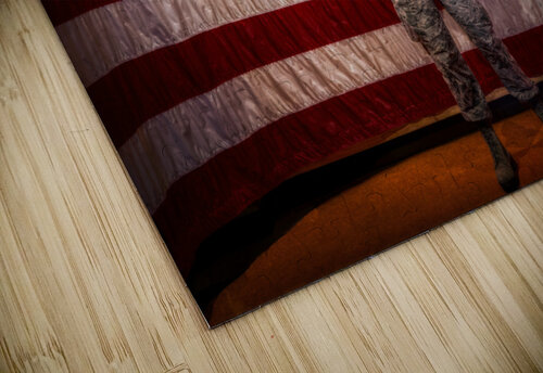  Airman with Flag Dennis Bastin puzzle
