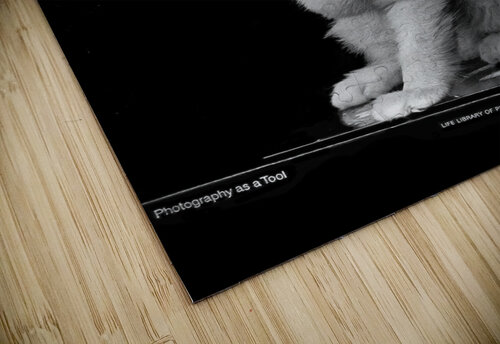 Cat BW Scan Dennis Bastin puzzle