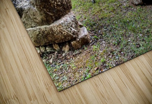 Chichen Itza 2016 13 Dennis Bastin puzzle