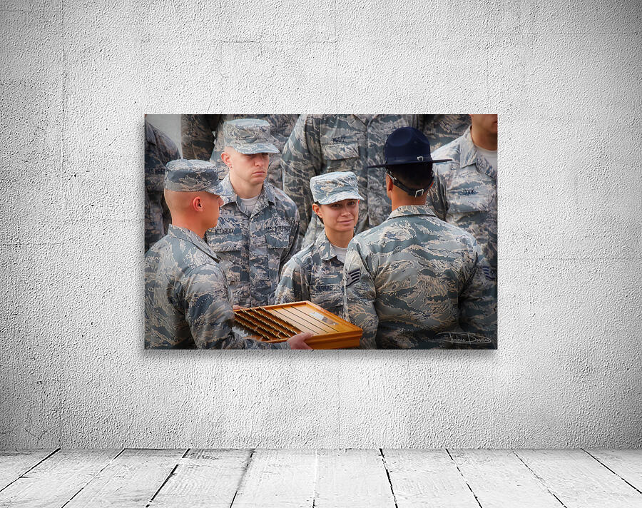 Air Force  Coin Presentation Wall Preview