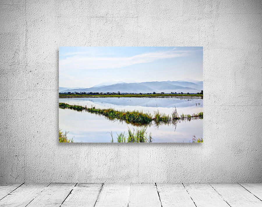 Nueva Ecija-Rice Patties 7571 Wall Preview