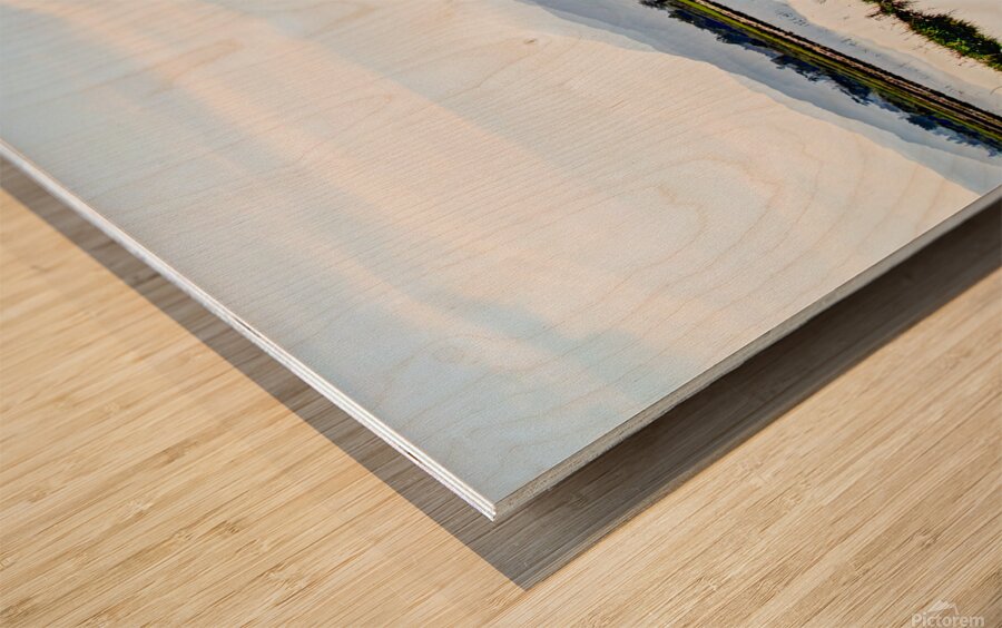 Nueva Ecija-Rice Patties 7571 Wood print