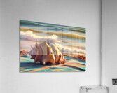 a large intricately patterned seashell placed on Acrylic Print