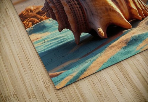 a large intricately patterned seashell placed on Hritcu Elena puzzle