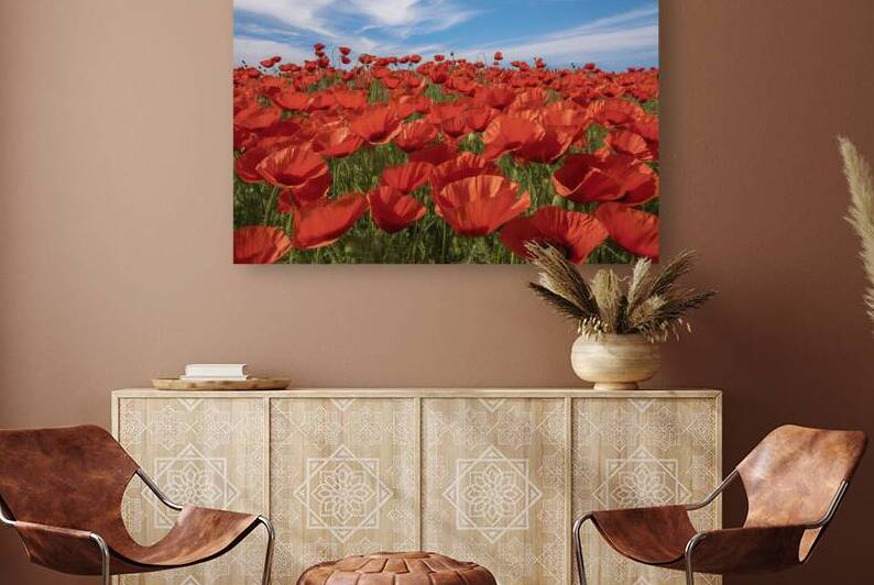 close up background of a field blanketed in vibra by Hritcu Elena