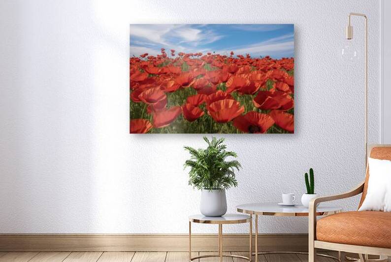 close up background of a field blanketed in vibra by Hritcu Elena