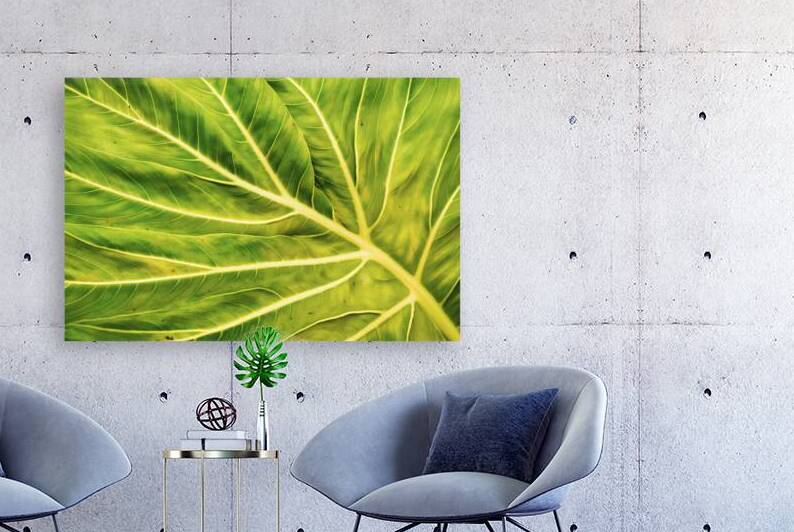 background of a vibrant green leaf 3 by Hritcu Elena