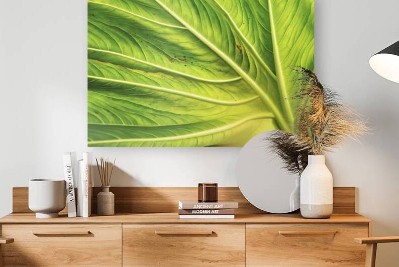 background of a vibrant green leaf 1 by Hritcu Elena