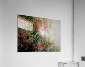 IMG_0004 Acrylic Print