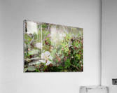 IMG_0022 Acrylic Print