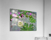 IMG_0023 Acrylic Print