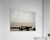 IMG_0068 Acrylic Print