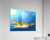 IMG_0096 Acrylic Print