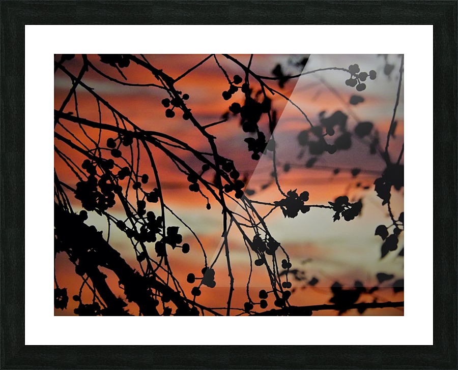 DSCF3018 Picture Frame print