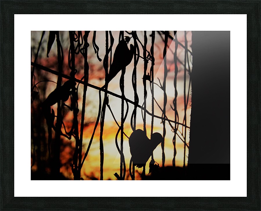 DSCF3020 Picture Frame print