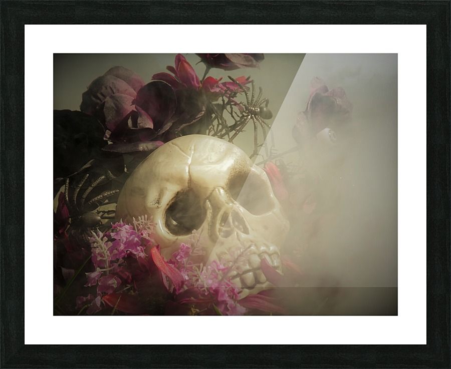 DSCF3036 Picture Frame print