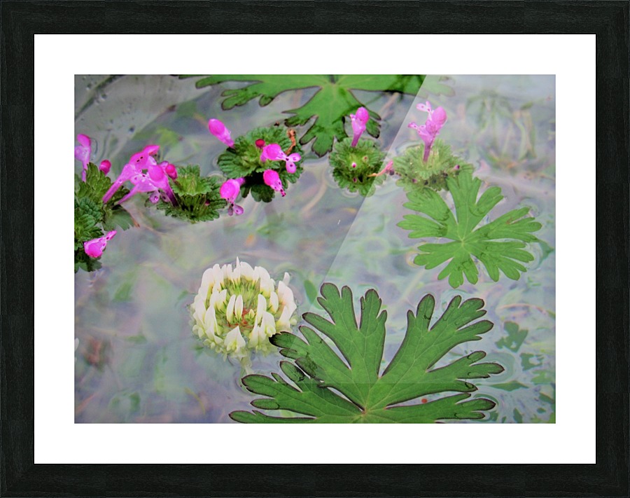 IMG_0023 Picture Frame print