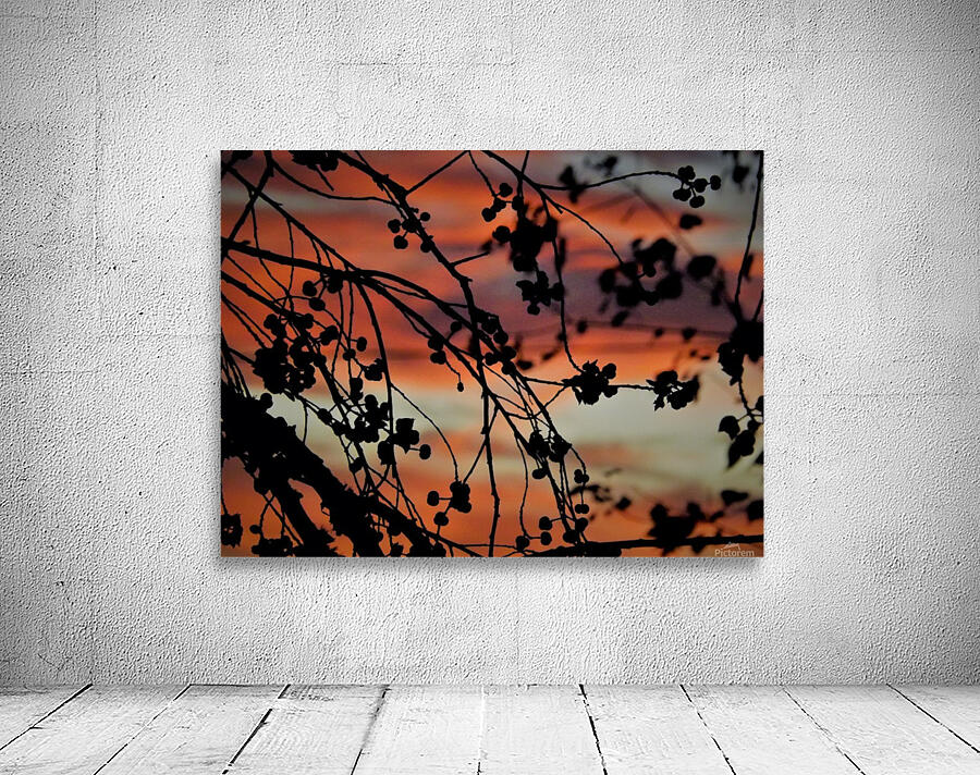 DSCF3018 Wall Preview