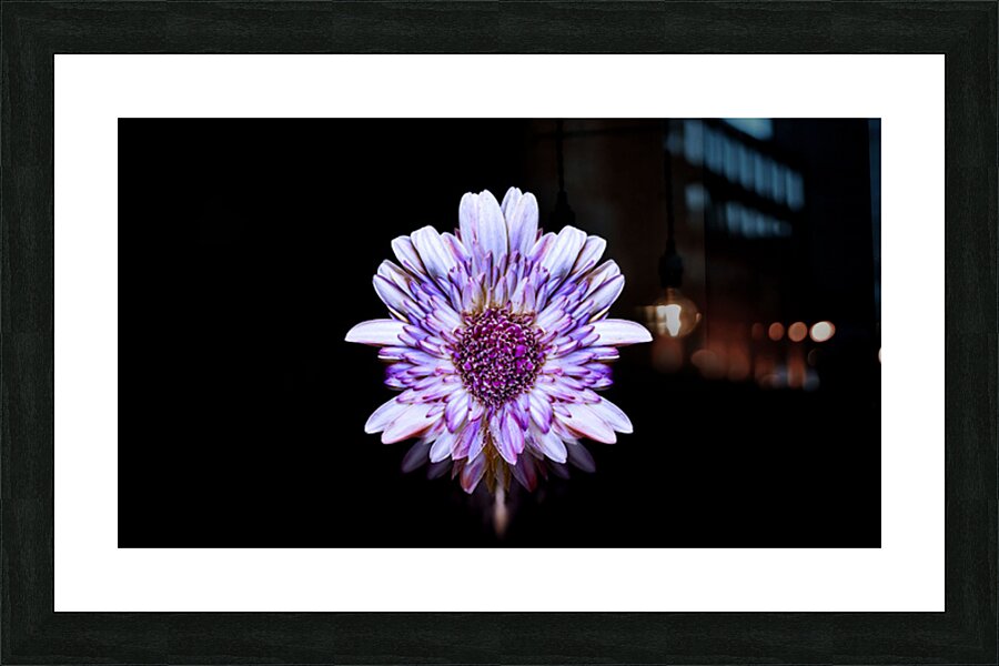 flwr Picture Frame print