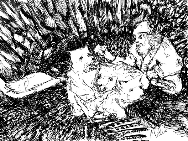 20240520 015640 4 Digital Download