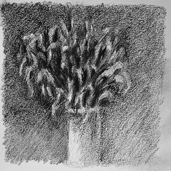 20230716 231718 2   Copy Digital Download