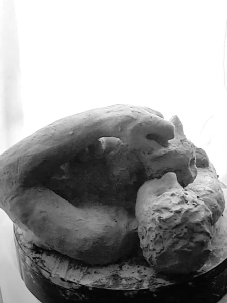 Beloved Companion 2 - 2 Digital Download